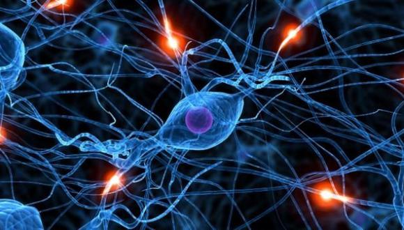 Una red neuronal artificial puede 'aprender' el lenguaje humano