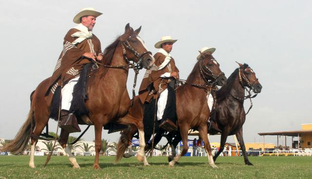 Escapa a Trujillo para ver exhibiciones de caballos de paso (S/30). (Foto: prom–peru)