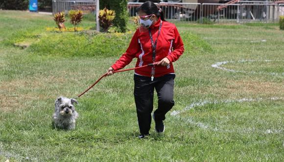 Las personas tendrán un día la semana para disfrutar de los parques zonales junto con sus mascotas. (Foto: Municipalidad de Lima)