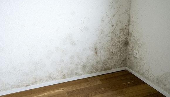 Trucos caseros para quitar el moho de las paredes sin dañar la pintura |  Life hack | Limpieza | Hogar | nnda | nnni | RESPUESTAS | MAG.
