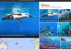Google Street View te invita a dar un paseo por los océanos