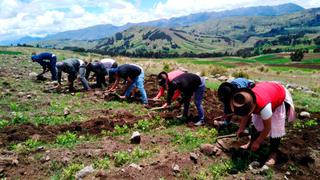 Consejo de Ministros evaluará pedido de emergencia del agro de Puno por sequía