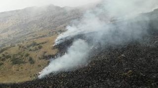 Apurímac: incendio forestal se registra enSantuario Nacional de Ampay | FOTOS