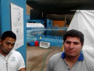 Activistas realizaron vigilia por delfines Yaku y Wayra