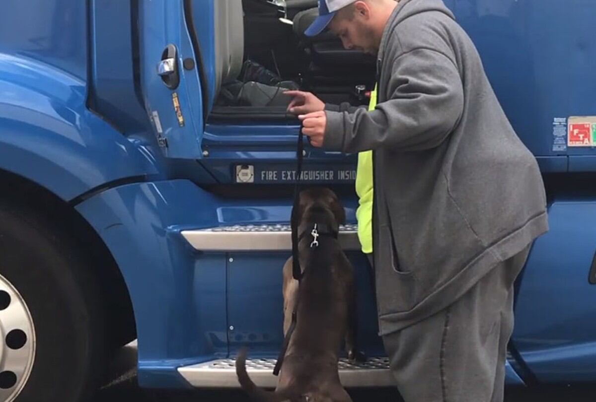 La conmovedora historia de un hombre que recorrió 4500 kilómetros para salvar a un perro. | Foto: Captura