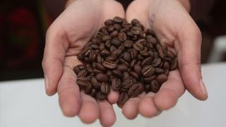 Sierra y Selva Exportadora: Perú se encuentra entre los 10 principales exportadores de café 