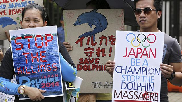 Caza de delfines por parte de Japón sigue indignando al mundo - 9
