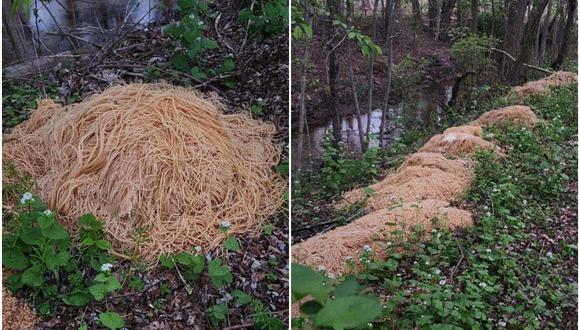 Cientos de kilos de pasta aparecieron en una localidad de Nueva Jersey (Foto: Nina Jochnowitz for Old Bridge / Facebook).