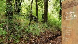 Un sendero de poesía para conocer a Ñuke Mapu, la Madre Tierra mapuche