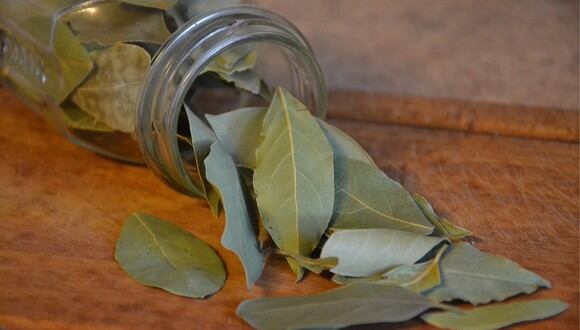 Descubre todo el provecho que le puedes sacar a las hojas de laurel en tu cocina. (Foto: Pixabay/ Anna).