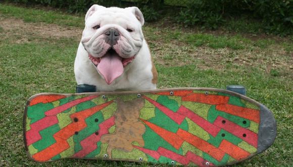 Otto no solo hacía skate, también aprendió a hacer skimboard y fue el primer can en practicar sandboard en las Dunas. (Fotos: Lucero Yrigoyen M.Q)