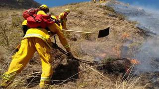 Incendio forestal afecta zona del Santuario Histórico Bosque de Pómac