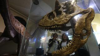Museo de Historia Natural: cien años protegiendo el legado biológico del país