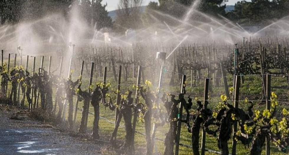 La sequía ha obligado a California a promulgar una serie de leyes que cuiden el agua. (Foto: laopinion.com)