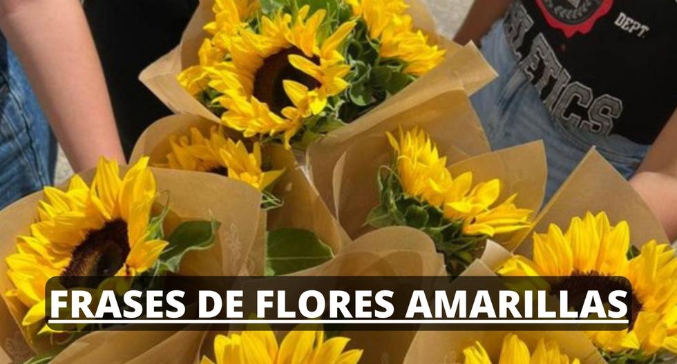 50 FRASES de flores amarillas: Mensajes bonitos para enviar el 21 de marzo en México