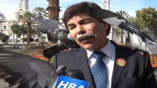 Alcalde habla de erradicar palomas y estas se le posan encima