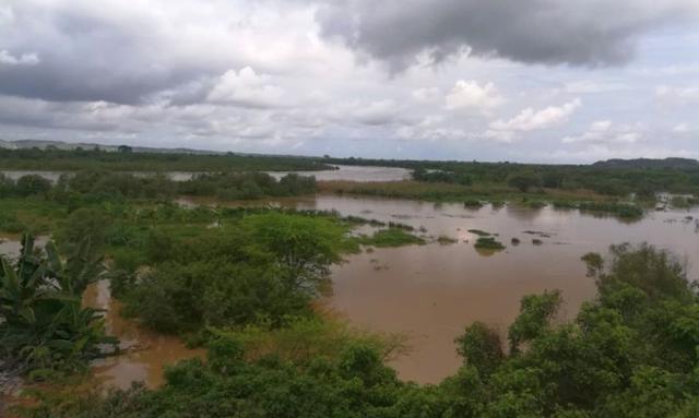 Desborde del río Tumbes afecta parcelas agrícolas. (Foto: D. Huamán/Senamhi)