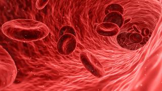 Una molécula de la sangre es efectiva contra enfermedad autoinmune del riñón