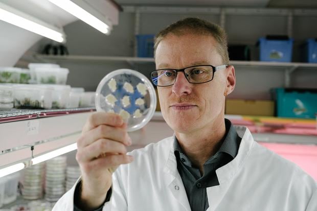 Plant Biotechnology Director Heiko Rischer shows sustainable coffee cells at the VTT research laboratory in Espoo, Finland, on October 25, 2021. (Photo: Alessandro RAMPAZZO / AFP)