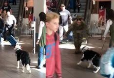 El emotivo reencuentro de un perro y su dueña que volvió a casa tras servir al ejército
