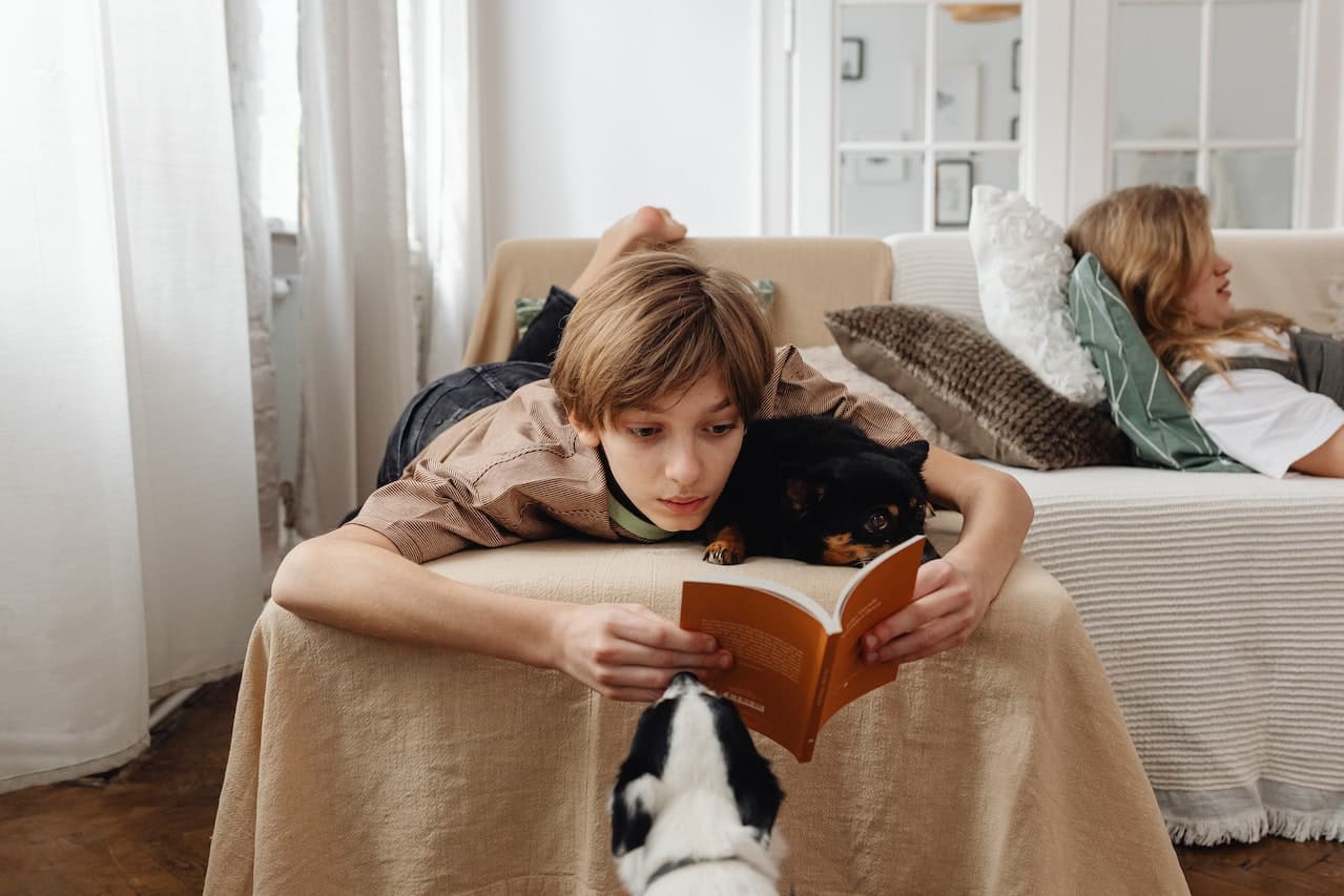 Elige los mejores libros para adolescentes 2024, guía de compra  